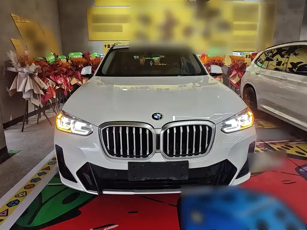 BMW X3 2023 из CN, фото 10