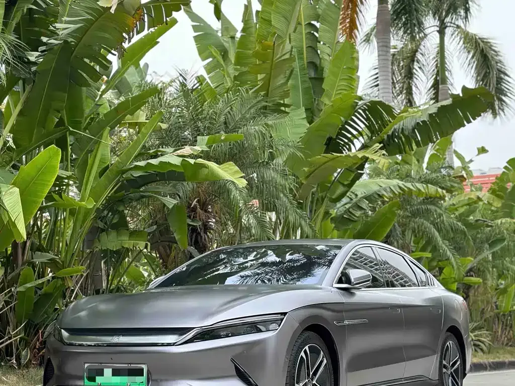 BYD Han 2021 из CN, фото 8