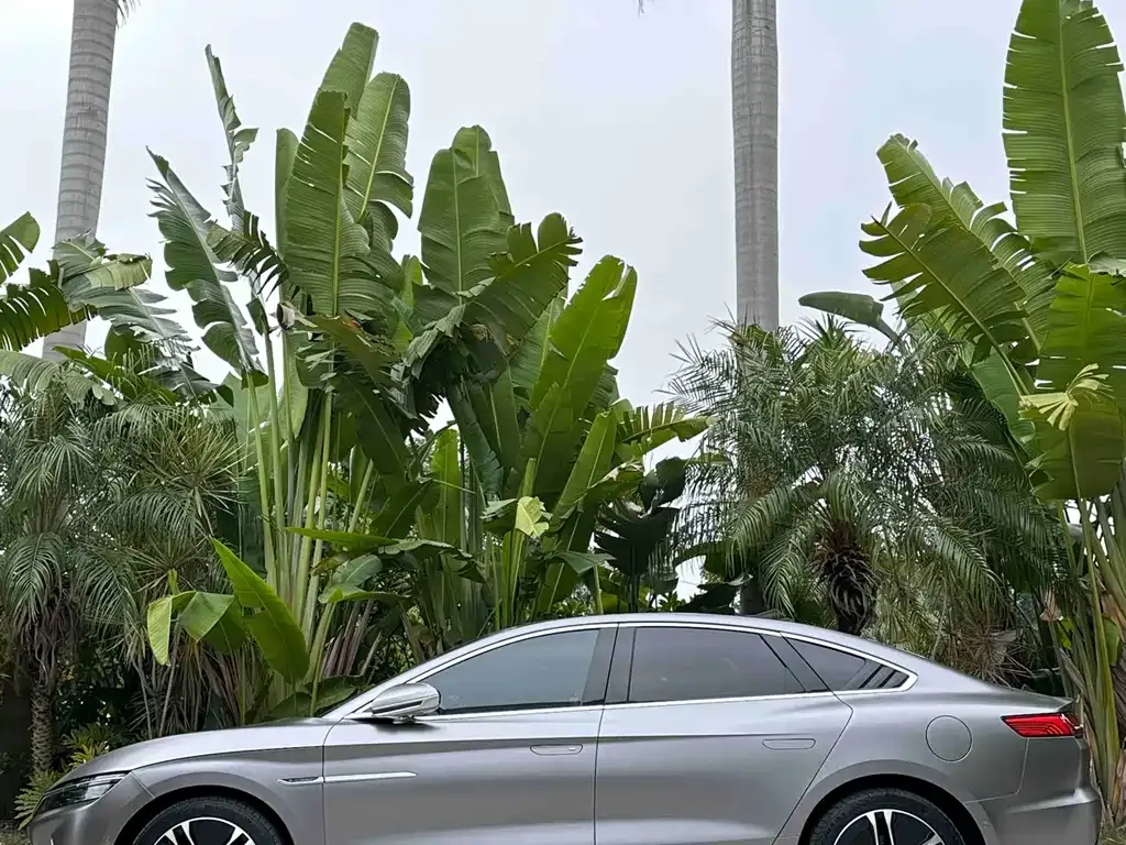 BYD Han 2021 из CN, фото 5