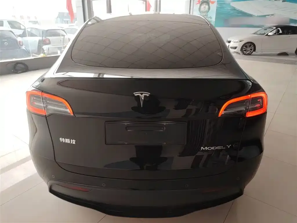 Tesla Model Y 2024 из CN, фото 7
