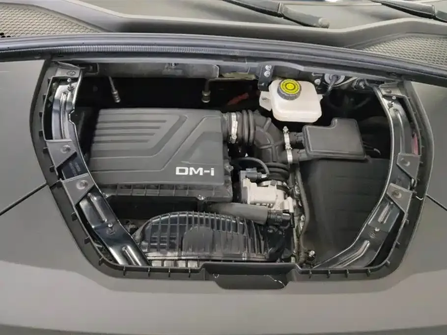 BYD PLUS New Energy 2022 из CN, фото 3