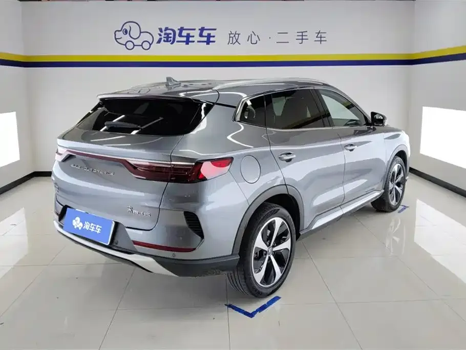 BYD PLUS New Energy 2022 из CN, фото 6