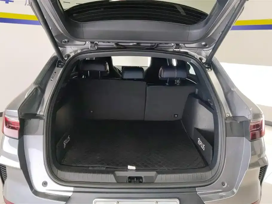 BYD PLUS New Energy 2022 из CN, фото 8