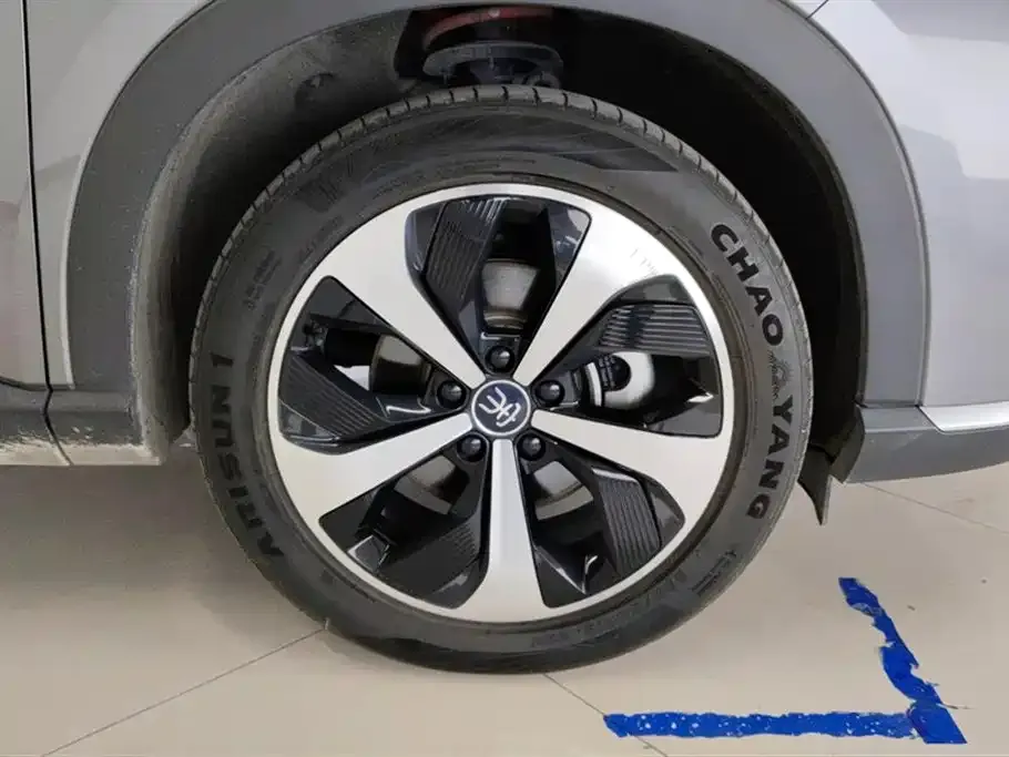 BYD PLUS New Energy 2022 из CN, фото 2