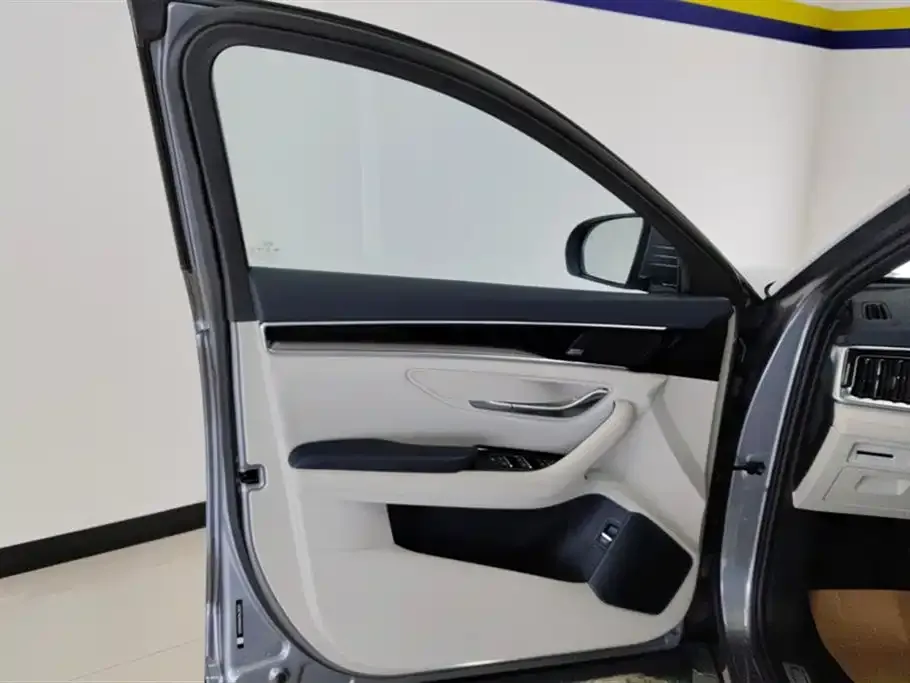 BYD PLUS New Energy 2022 из CN, фото 7