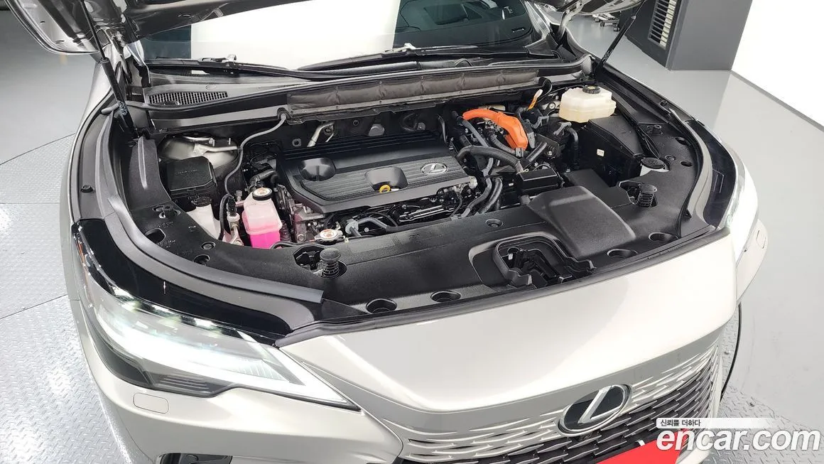 Lexus RX 2024 из KR, фото 10