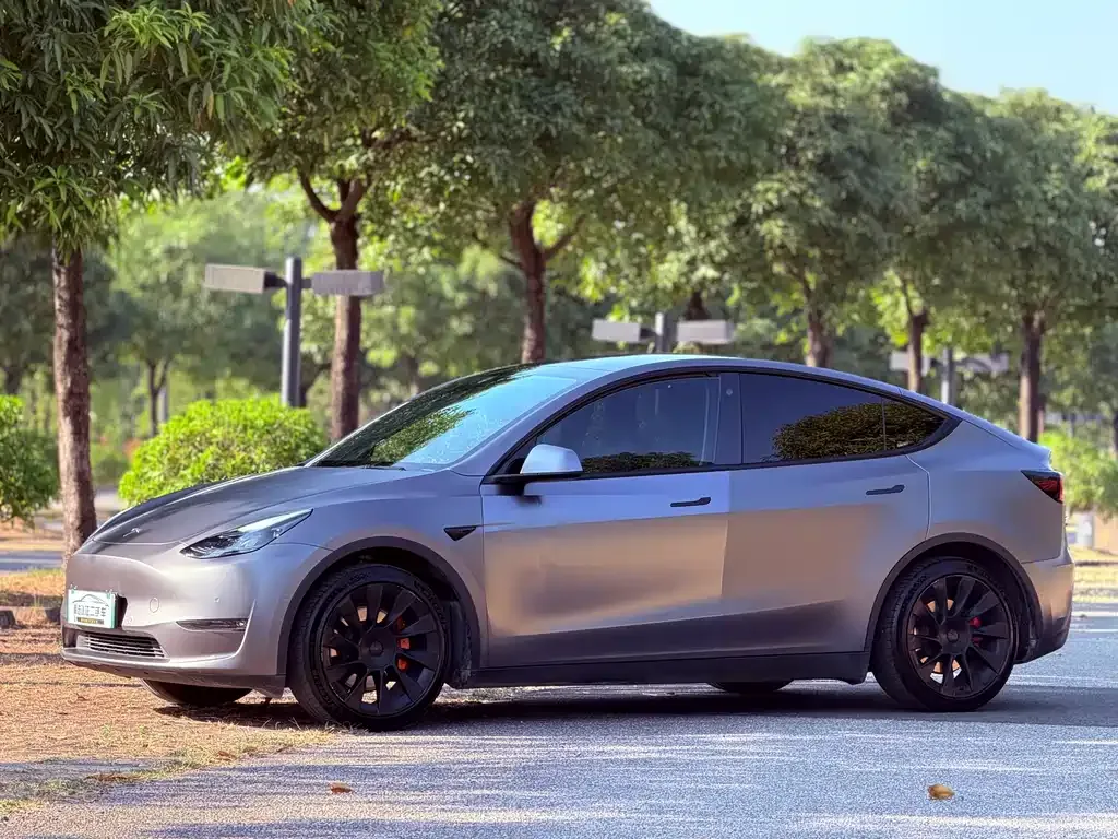 Tesla Model Y 2021 из CN, фото 1