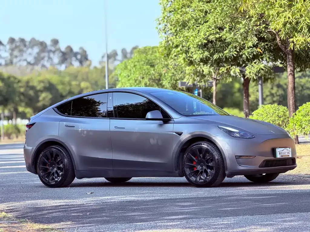 Tesla Model Y 2021 из CN, фото 9