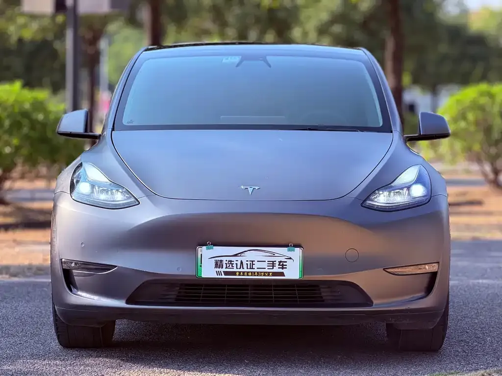 Tesla Model Y 2021 из CN, фото 5