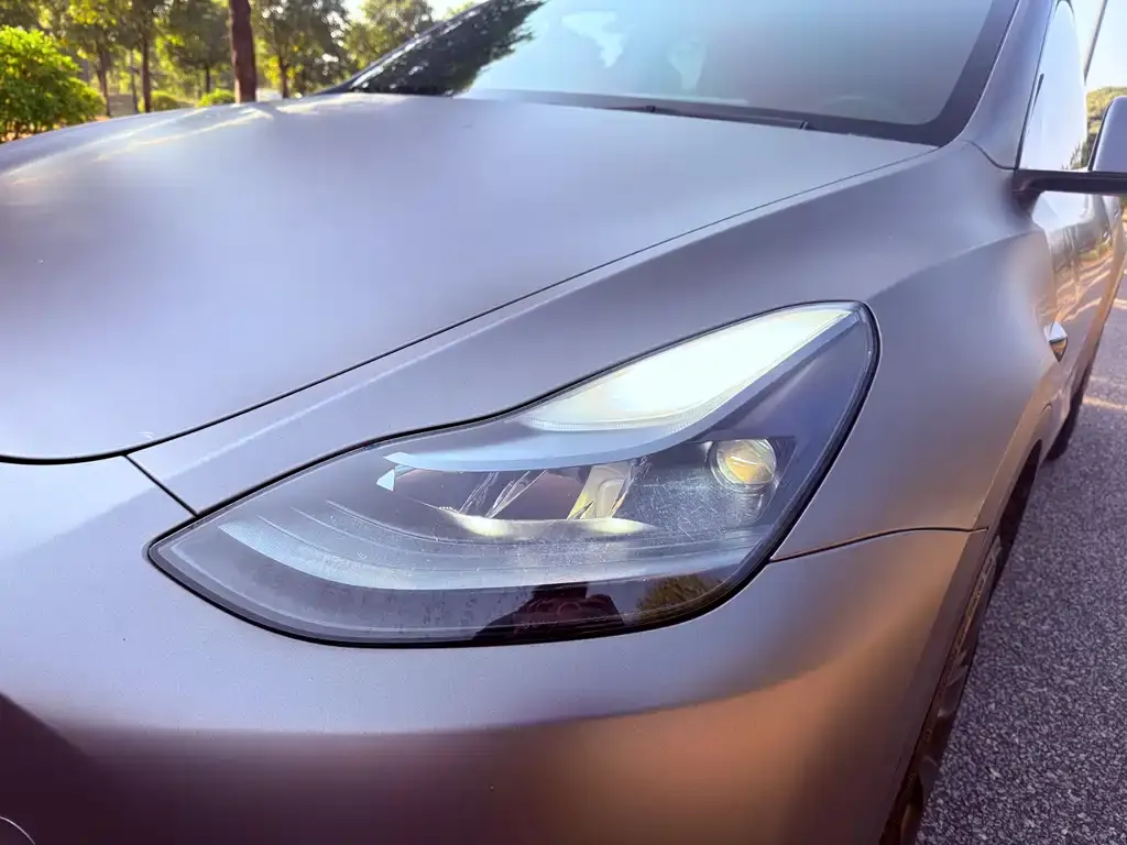 Tesla Model Y 2021 из CN, фото 4