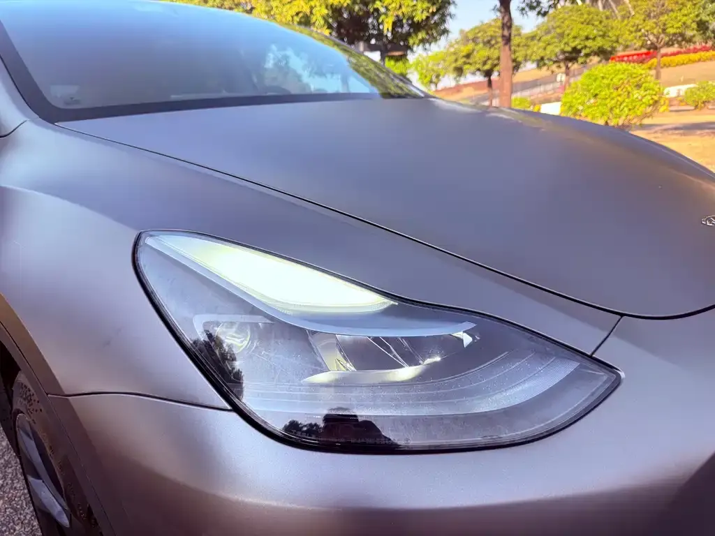 Tesla Model Y 2021 из CN, фото 7