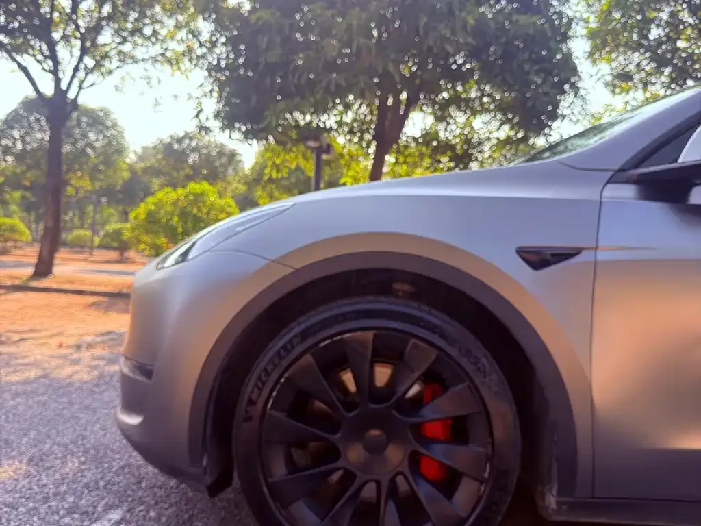 Tesla Model Y 2021 из CN, фото 10