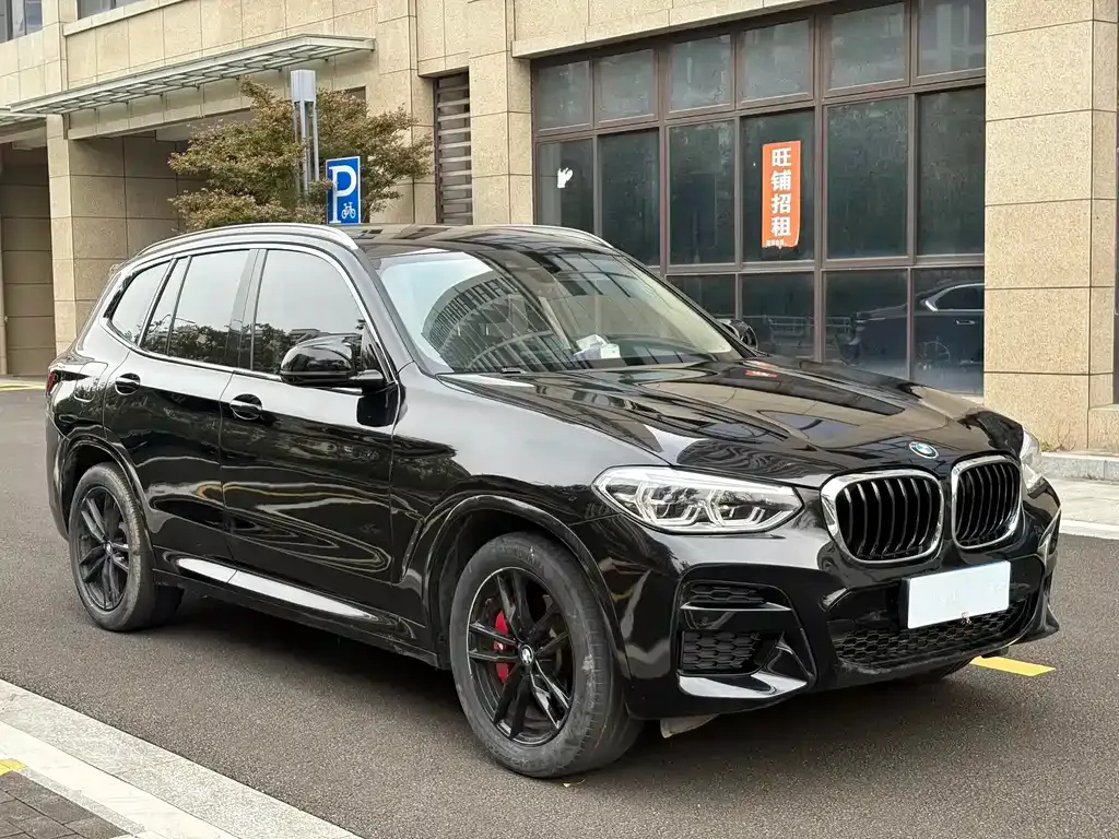 BMW X3 2021 из CN, фото 9