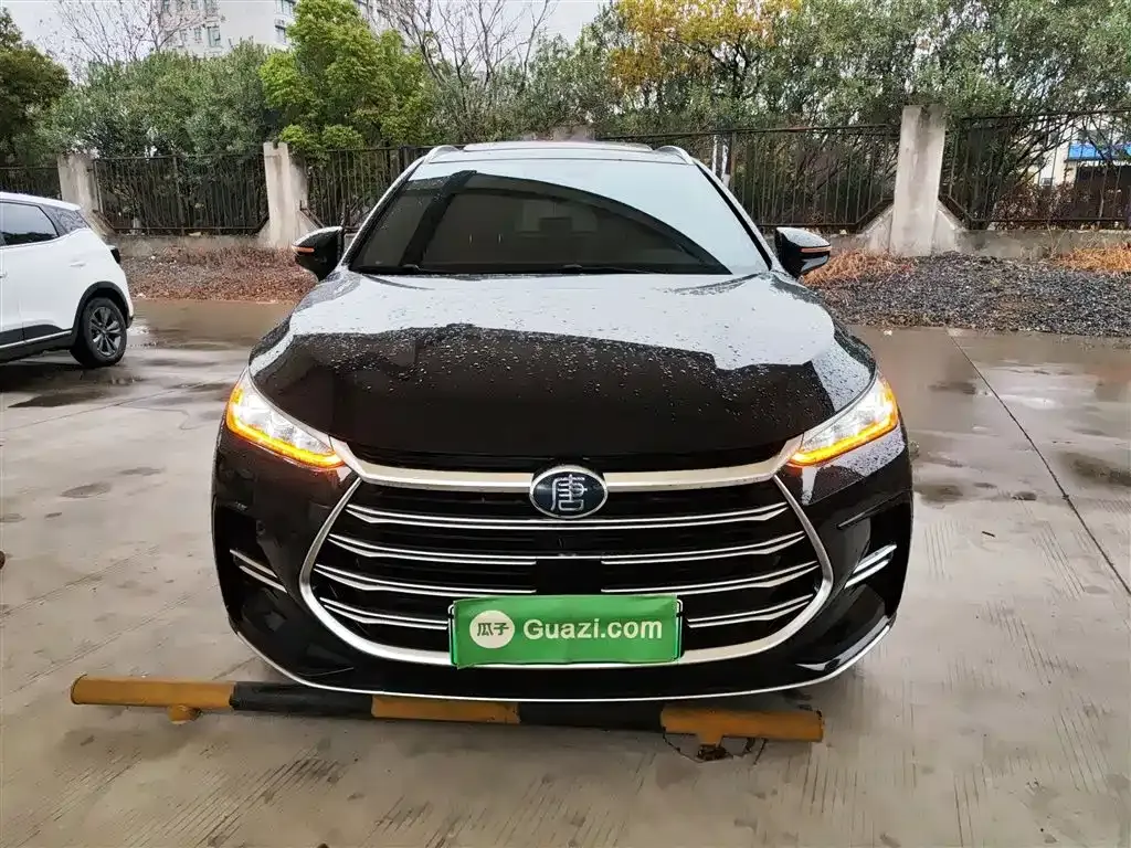 BYD Tang New Energy 2024 из CN, фото 9