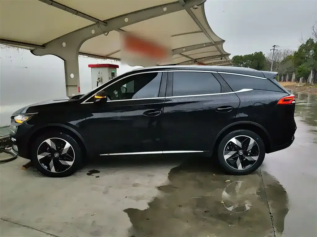 BYD Tang New Energy 2024 из CN, фото 2