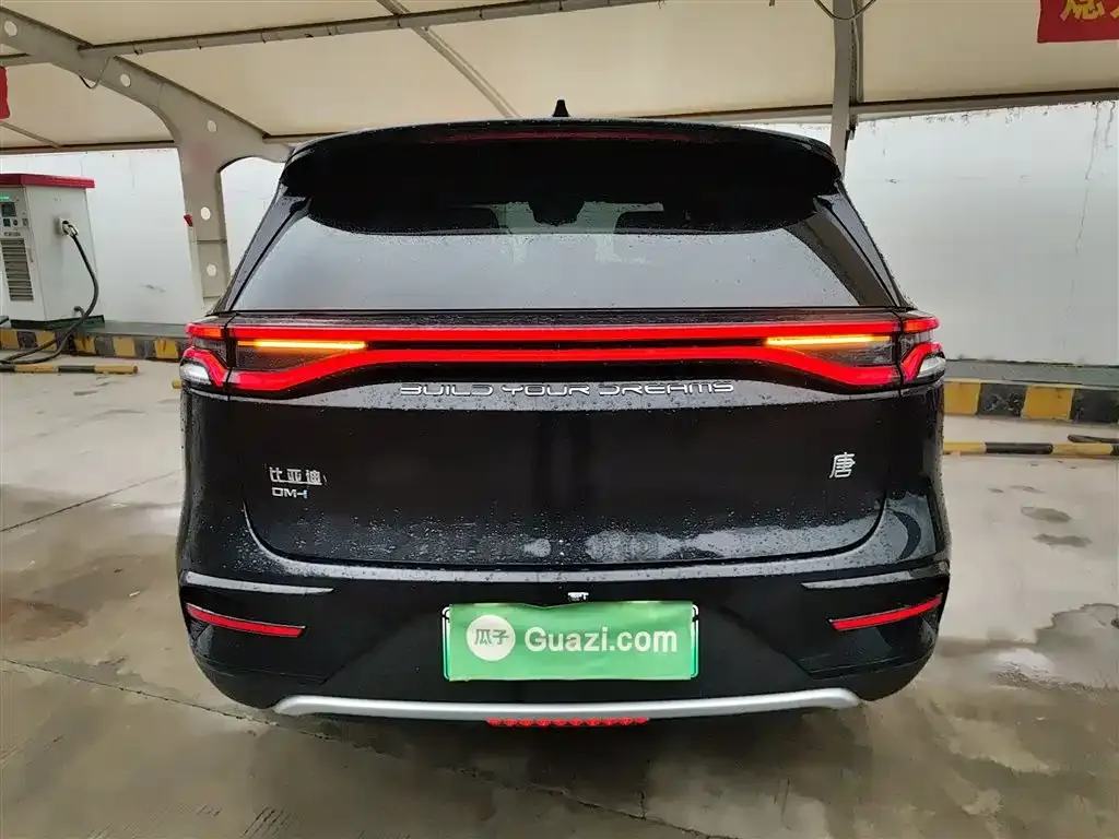 BYD Tang New Energy 2024 из CN, фото 10
