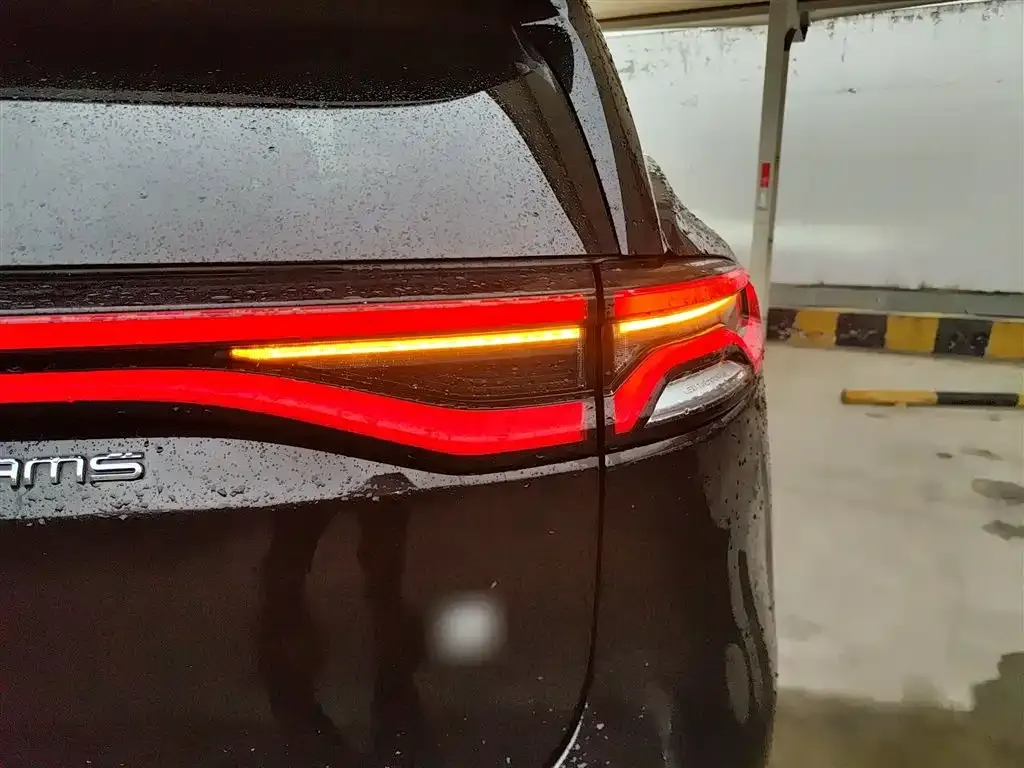 BYD Tang New Energy 2024 из CN, фото 3