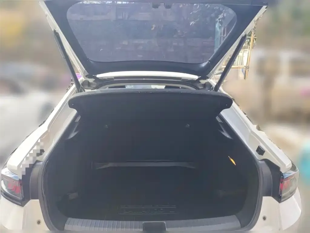 Volkswagen Lamando 2023 из CN, фото 10