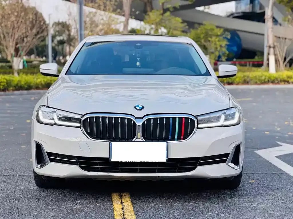 BMW 5 Series 2022 из CN, фото 3