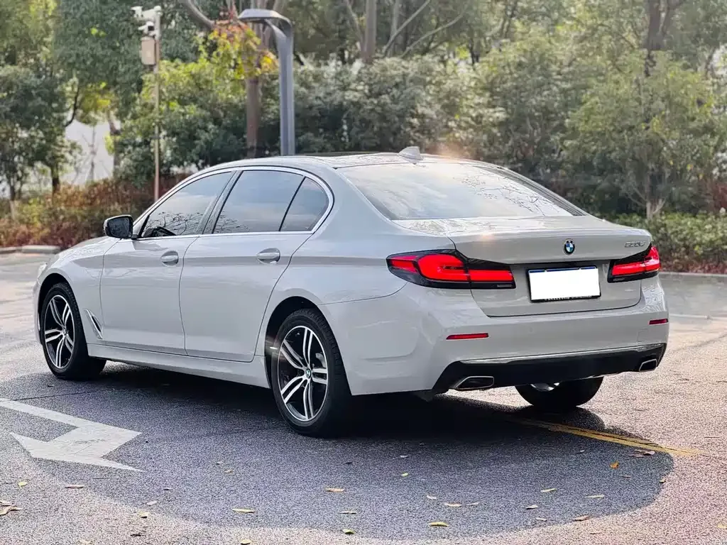 BMW 5 Series 2022 из CN, фото 10