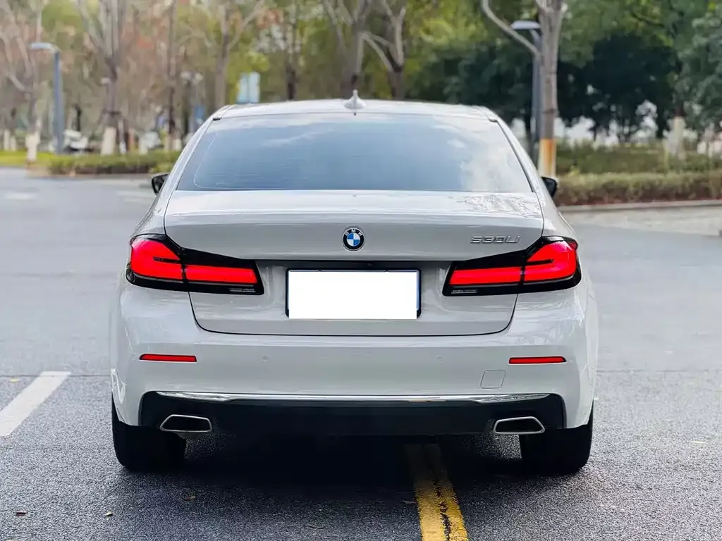 BMW 5 Series 2022 из CN, фото 7