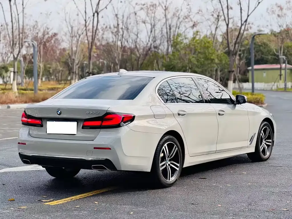 BMW 5 Series 2022 из CN, фото 9