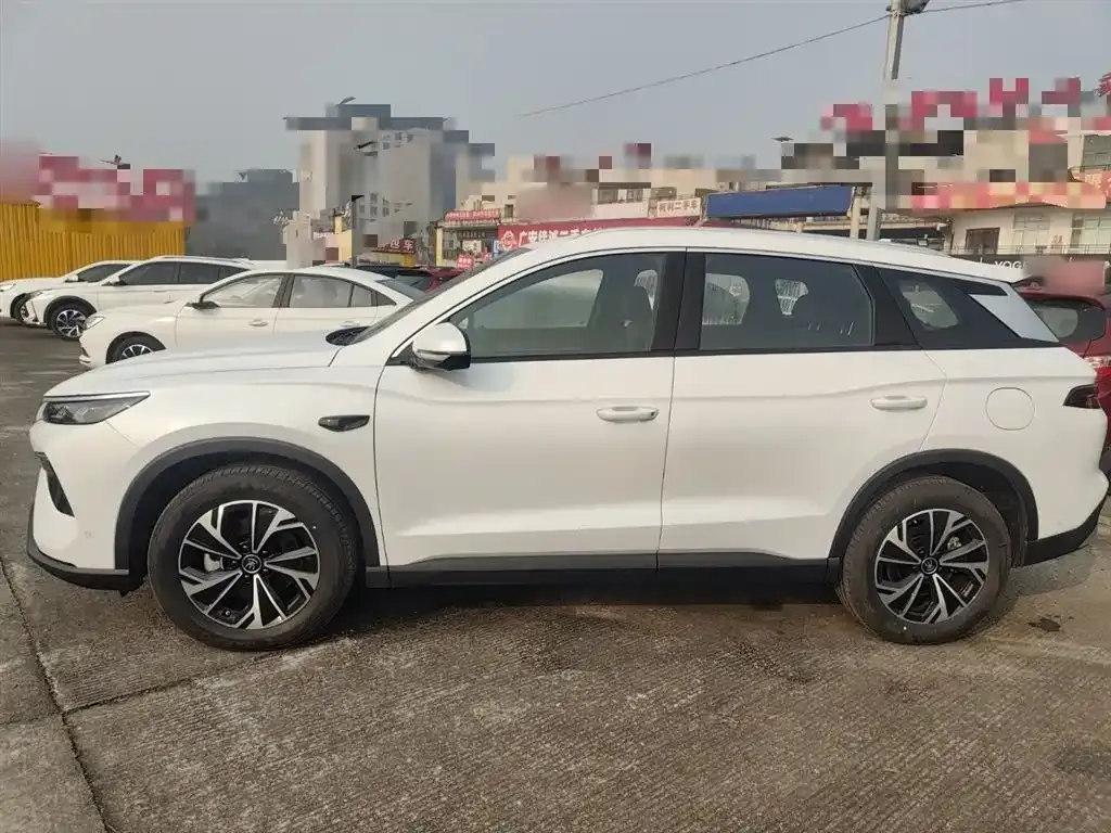 BYD Pro New Energy — фото 4