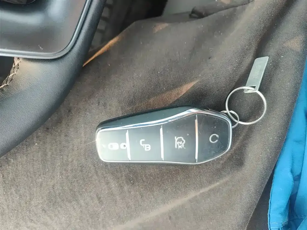 BYD Pro New Energy — фото 10