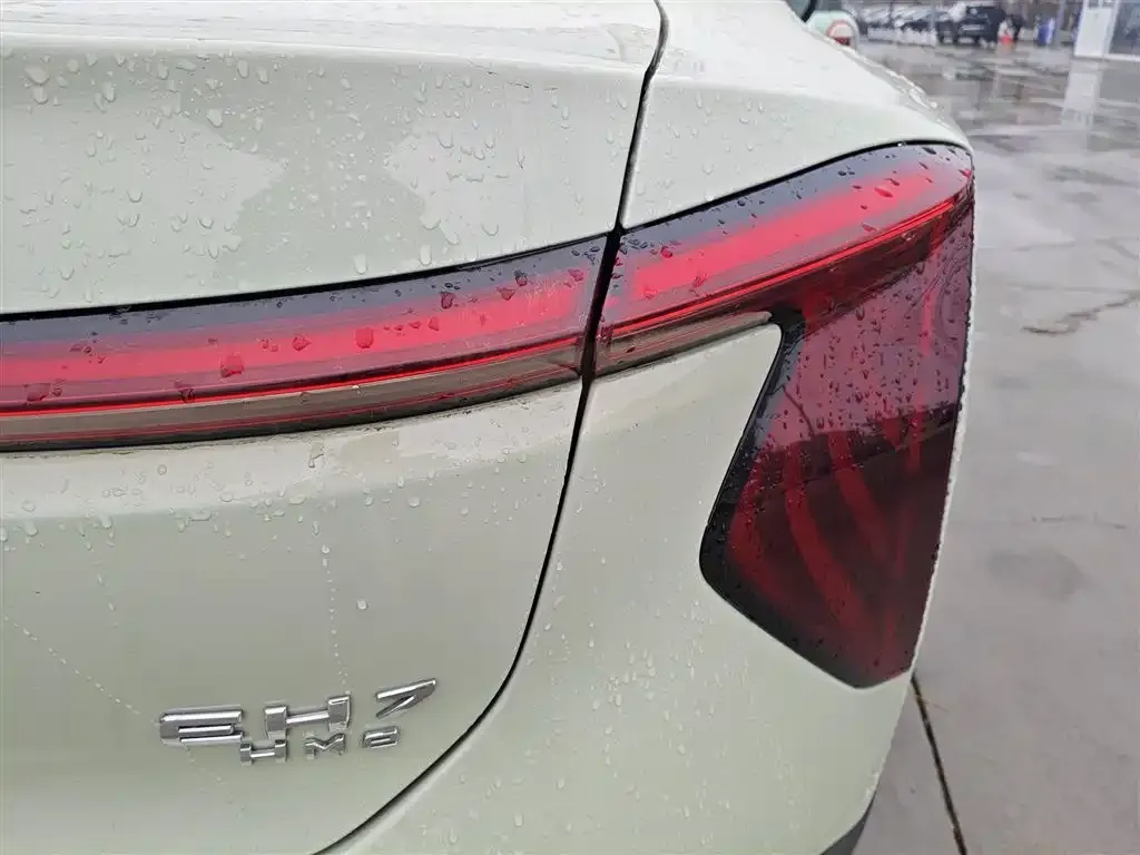 Hongqi EH7 2024 из CN, фото 8