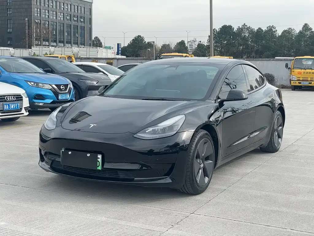 Tesla Model 3 2021 из CN, фото 1