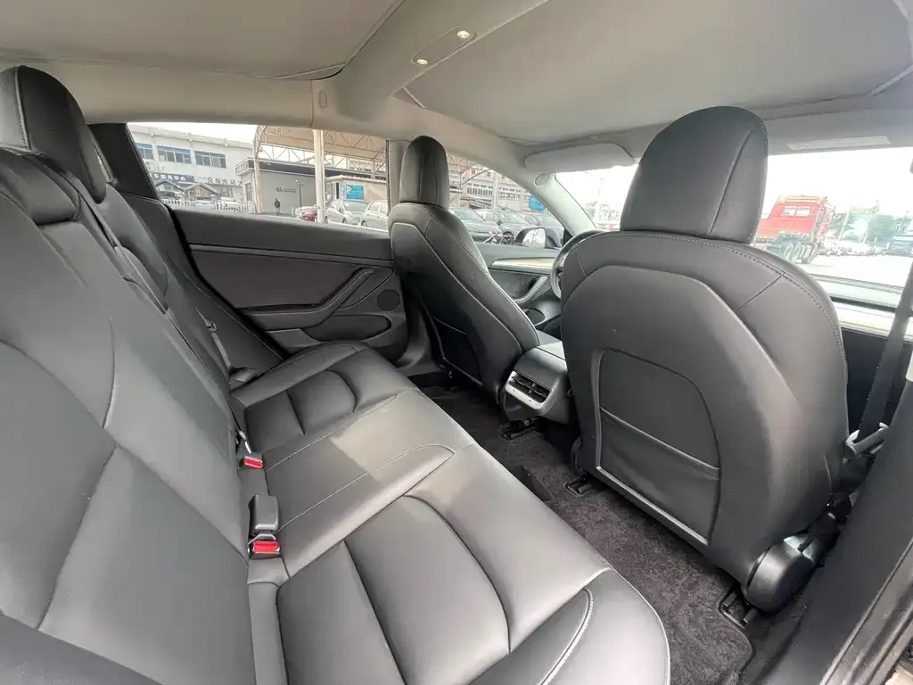 Tesla Model 3 2021 из CN, фото 7