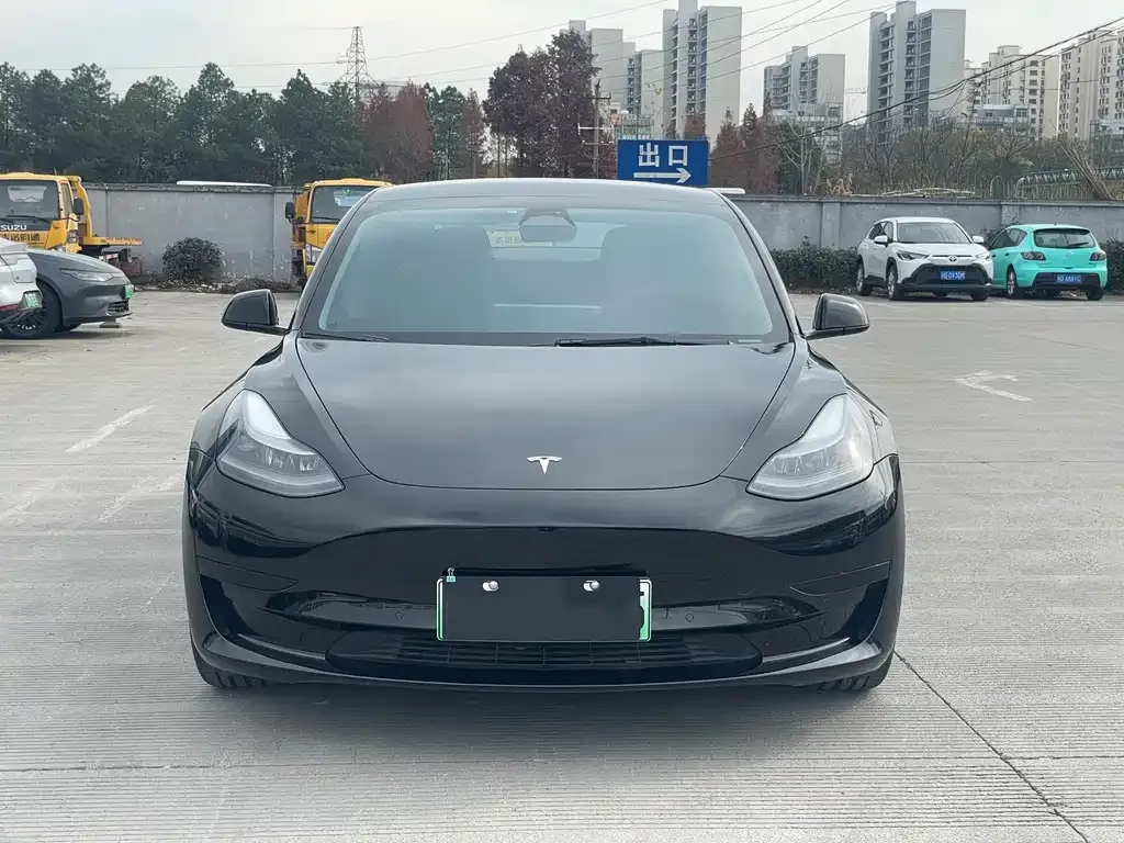 Tesla Model 3 2021 из CN, фото 4