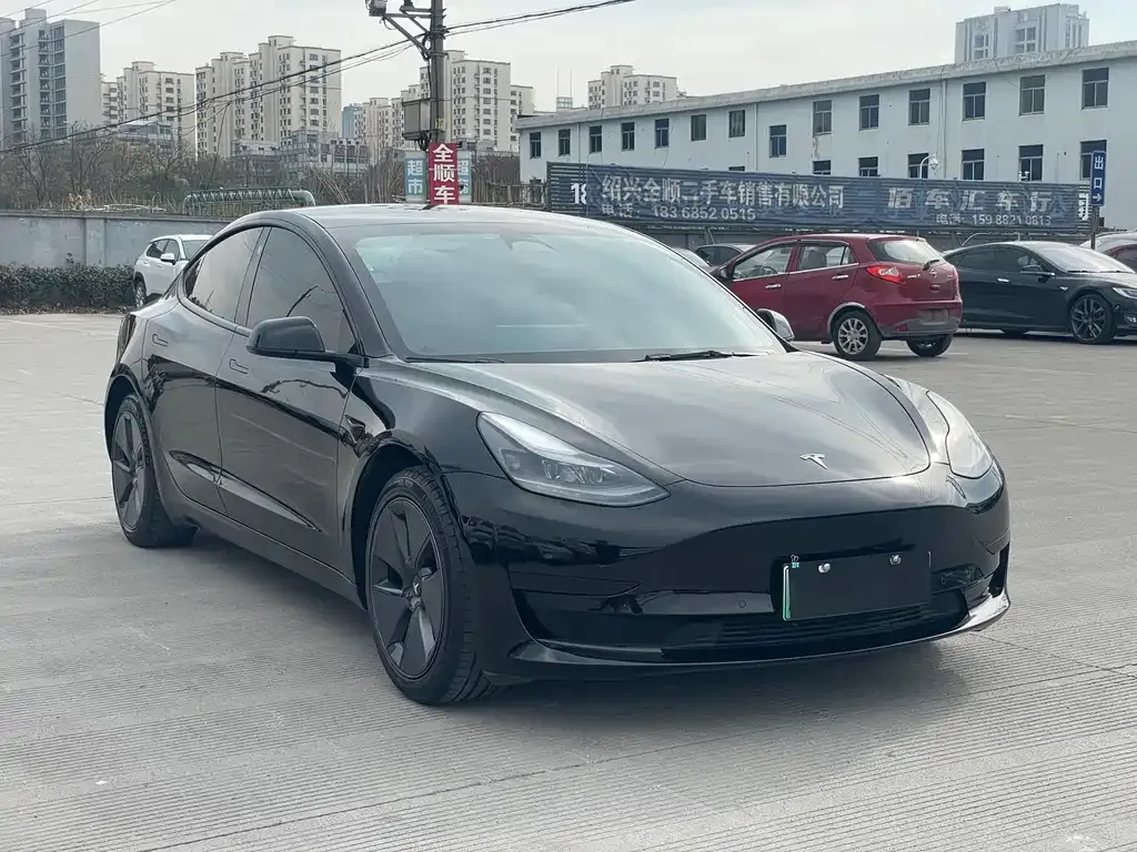 Tesla Model 3 2021 из CN, фото 5