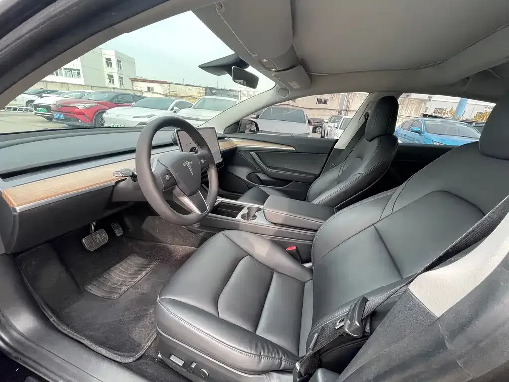 Tesla Model 3 2021 из CN, фото 3