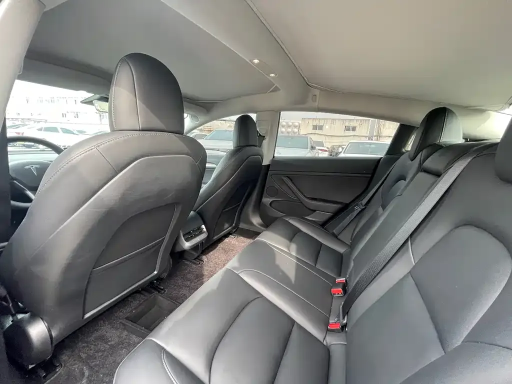 Tesla Model 3 2021 из CN, фото 6