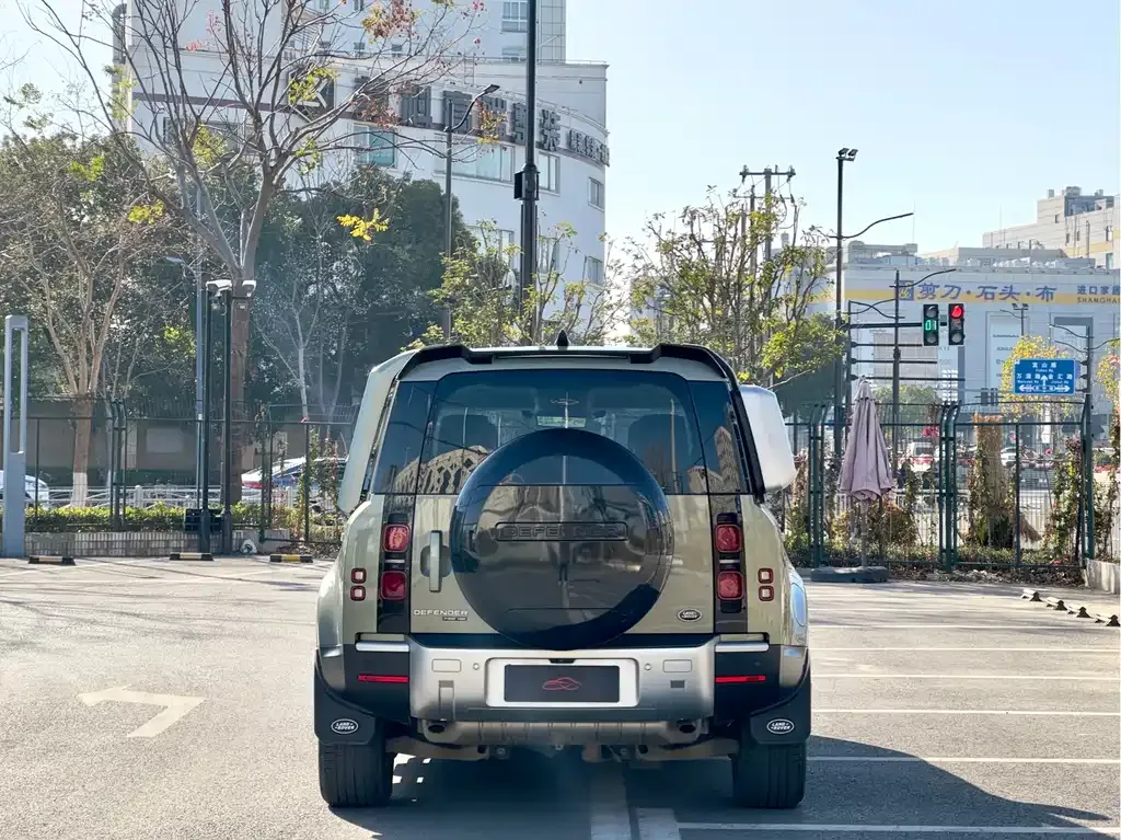 Land Rover Defender 2021 из CN, фото 7