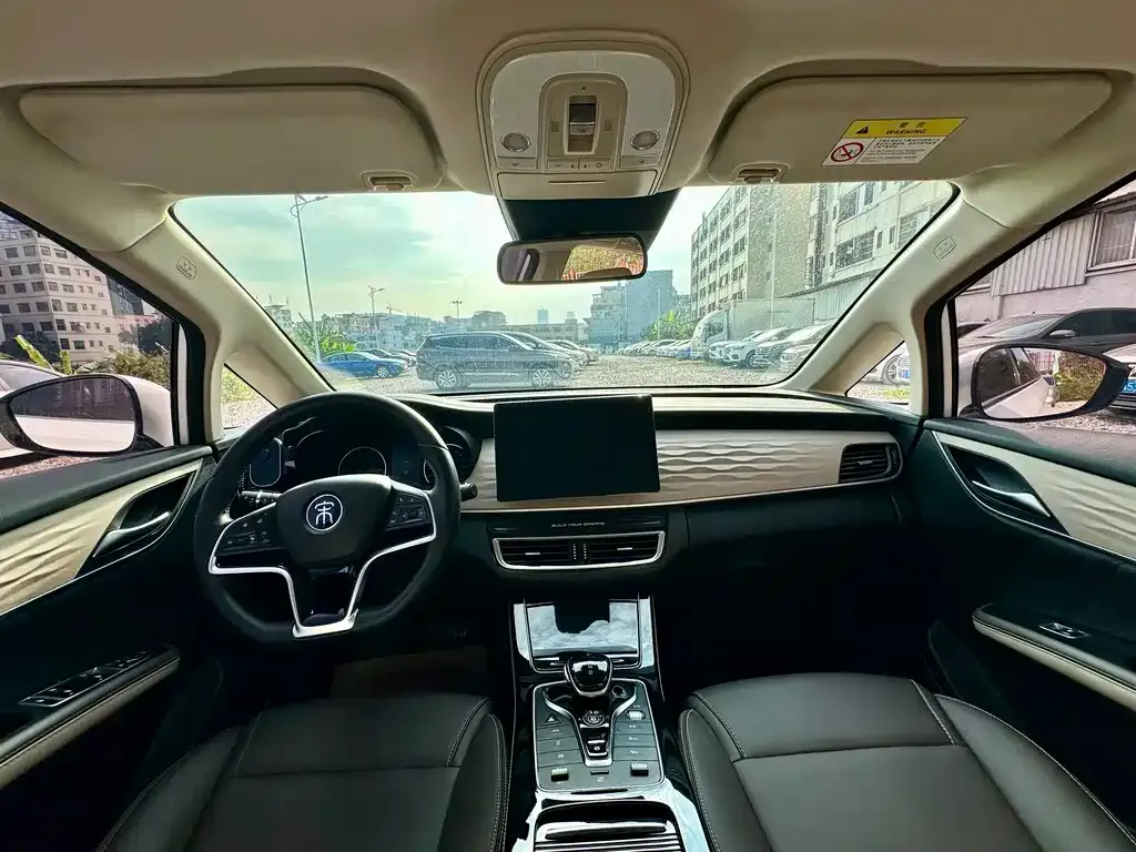 BYD MAX New Energy 2023 из CN, фото 8