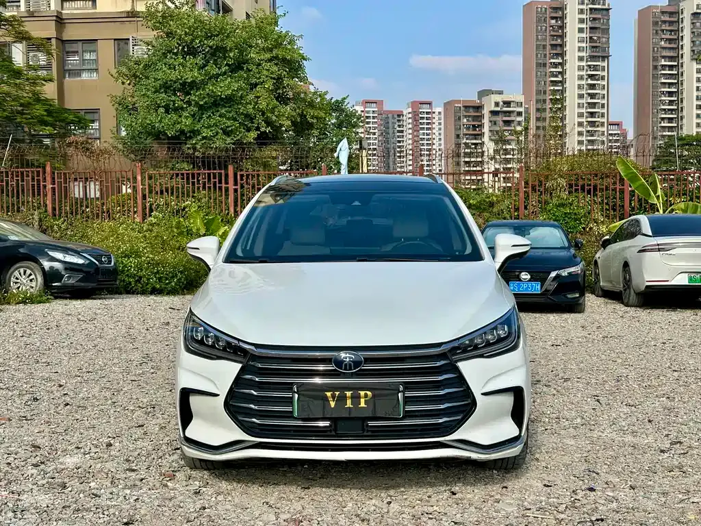 BYD MAX New Energy 2023 из CN, фото 10