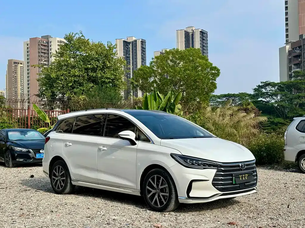 BYD MAX New Energy 2023 из CN, фото 9