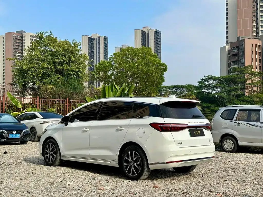 BYD MAX New Energy 2023 из CN, фото 7