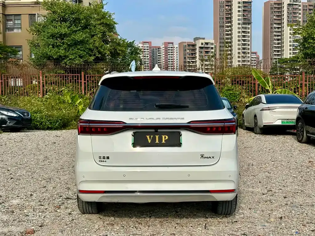 BYD MAX New Energy 2023 из CN, фото 6