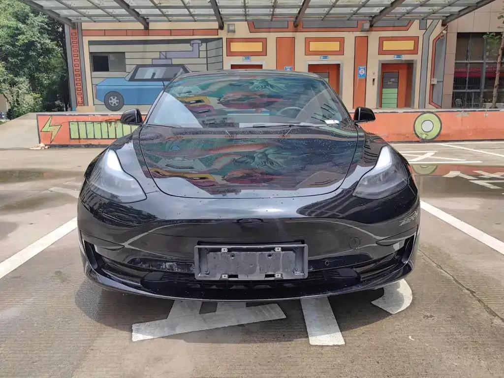 Tesla Model 3 2023 из CN, фото 4