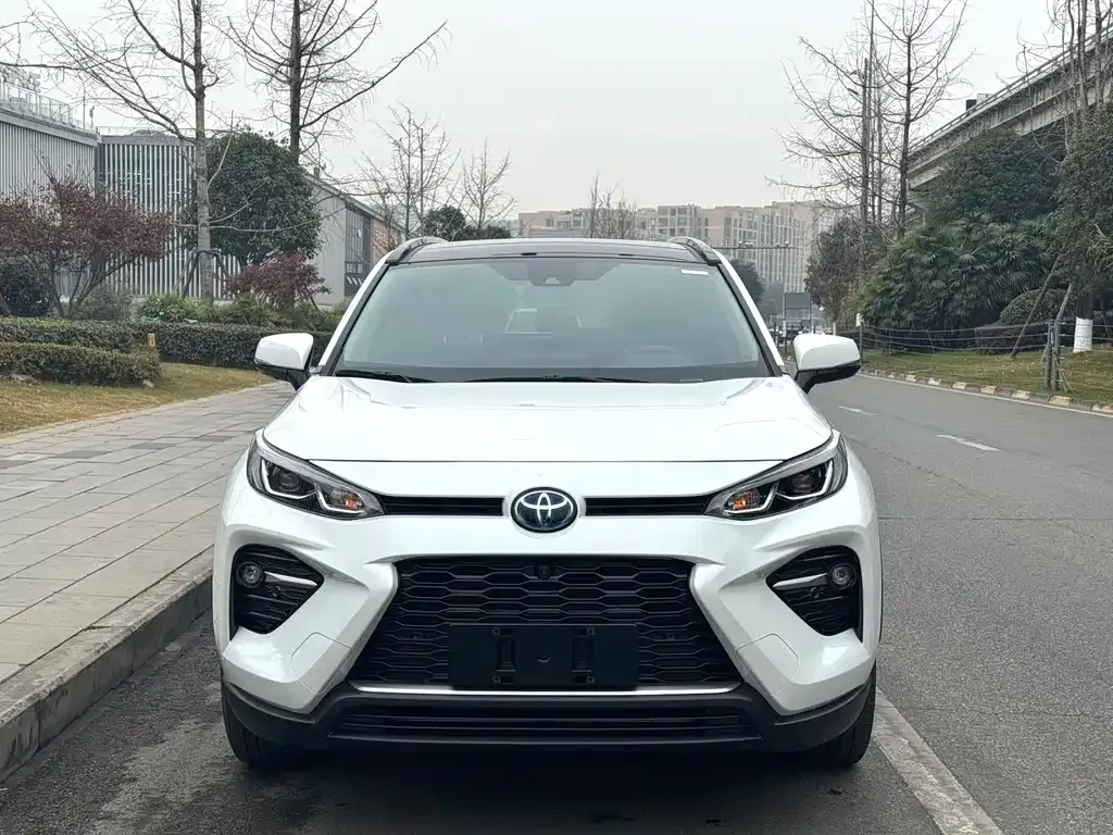 Toyota Wildlander 2023 из CN, фото 6