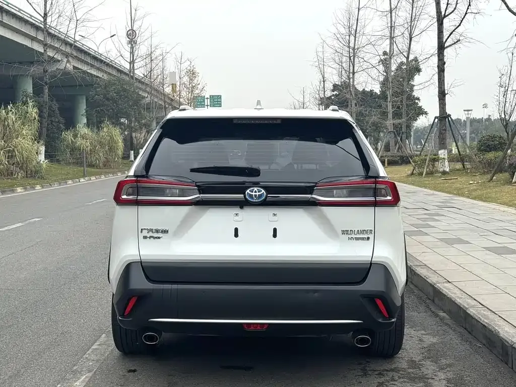 Toyota Wildlander 2023 из CN, фото 8
