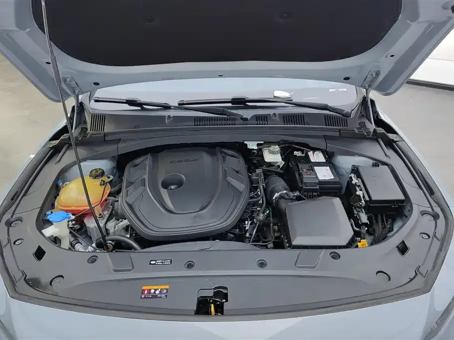 Geely Xingrui 2022 из CN, фото 10