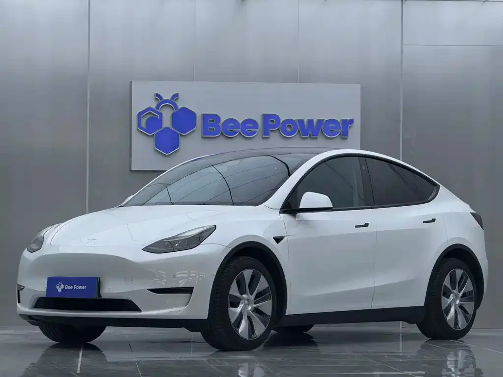 Tesla Model Y 2022 из CN, фото 1