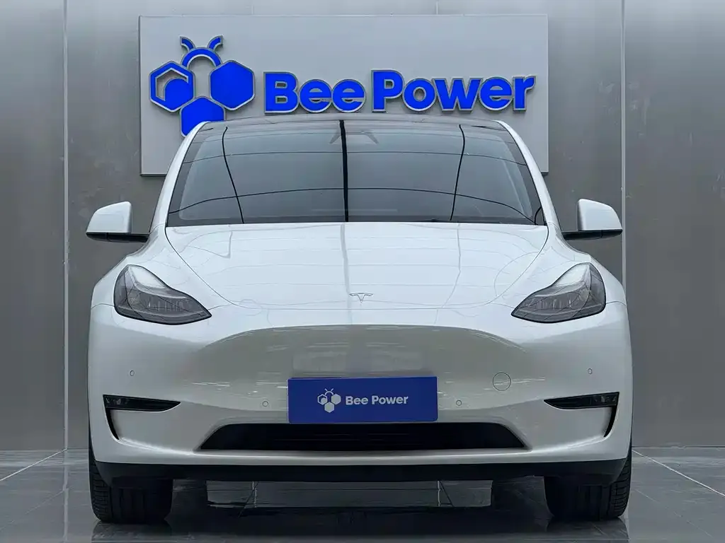 Tesla Model Y 2022 из CN, фото 8