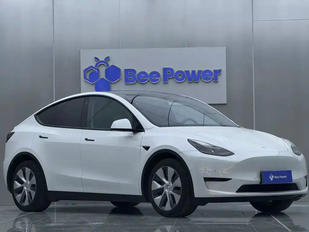 Tesla Model Y 2022 из CN, фото 6