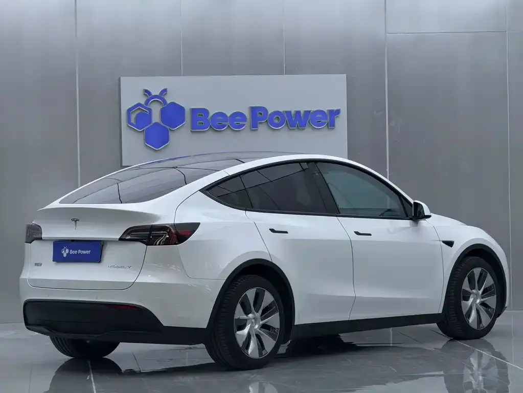 Tesla Model Y 2022 из CN, фото 2