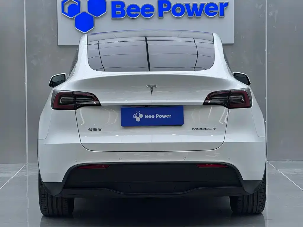 Tesla Model Y 2022 из CN, фото 9
